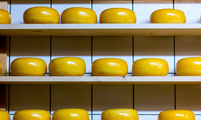 Γερμανός αστυνομικός έκλεψε 180 κιλά τυρί