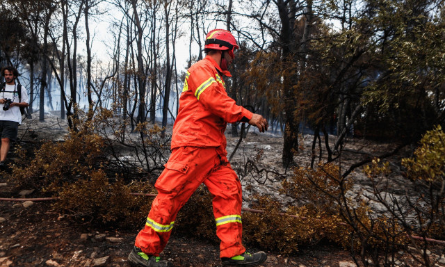 Φωτιά τώρα στη Σαλαμίνα