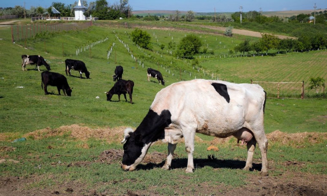 «Πράσινη» Δανία: Η πρώτη χώρα στον κόσμο που επιβάλλει φόρο άνθρακα στη γεωργία