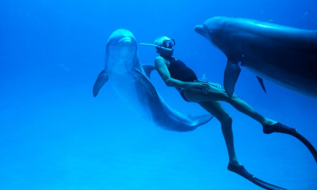 Φεστιβάλ Κινηματογράφου Ολυμπίας: Προβολές ταινιών σε χωριά και πόλεις της Ηλείας