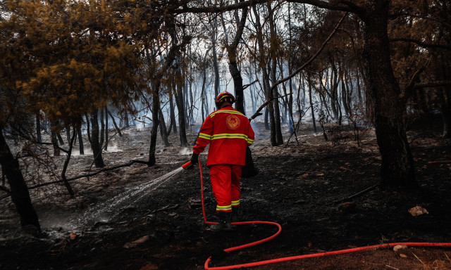 Γλυκά Νερά: Ποινική δίωξη σε βάρος του συλληφθέντα για την πυρκαγιά