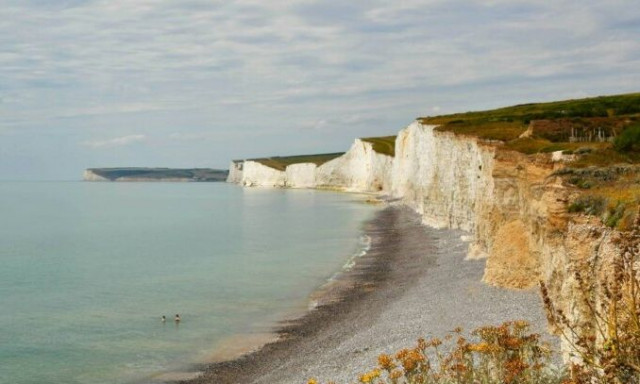 Απειλούμενα είδη επιστρέφουν στις ακτές του Ηνωμένου Βασιλείου