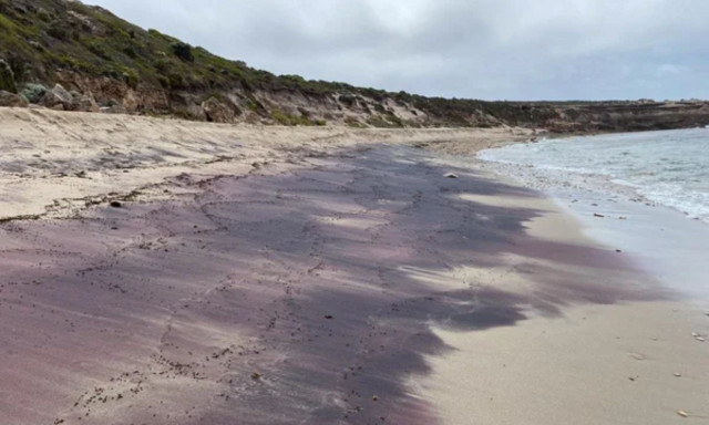 Πώς «συνδέεται» η Αυστραλία με την Ανταρκτική - Η μυστηριώδης ροζ άμμος αποκαλύπτει τα μυστικά της