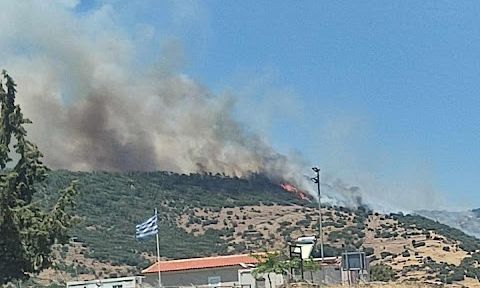 Μυτιλήνη: Ξέσπασε φωτιά στην Κάπη - Ισχυρές πυροσβεστικές δυνάμεις στο σημείο