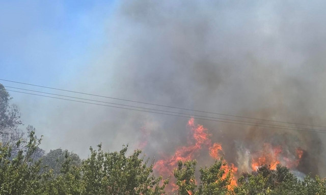 Καστοριά: Φωτιά σε δασική έκταση έχει λάβει ανησυχητικές διαστάσεις