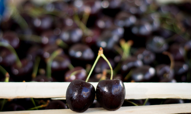 Καλοκαιρινά φρούτα σε τιμές...«καύσωνα» - «Καπέλο» 188,3% στα κεράσια