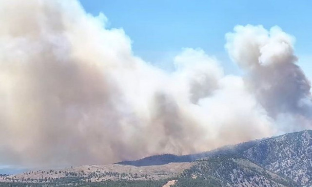 Μυτιλήνη: Μεγάλη φωτιά σε δασική έκταση στην περιοχή Μανταμάδος