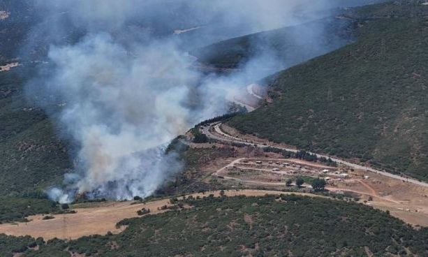 Φθιώτιδα: Τριάντα πυρκαγιές σε ένα μήνα στην Καμηλόβρυση Λαμίας