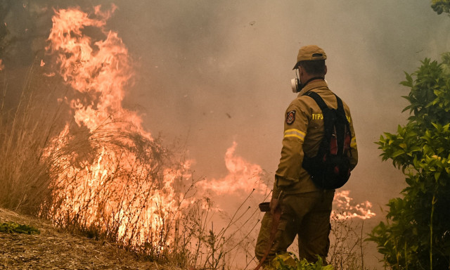 Πυροσβεστική: 34 αγροτοδασικές πυρκαγιές σημειώθηκαν το τελευταίο 24ωρο σε όλη τη χώρα
