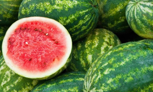 Καλαμάτα: Έκλεψε 4 τόνους καρπούζια και πήγε να τα πουλήσει