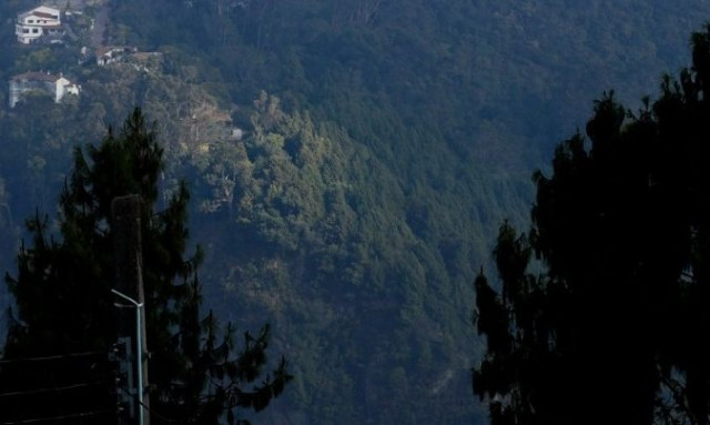 Μειώθηκε κατά 36% η αποψίλωση δασικών εκτάσεων στην Κολομβία