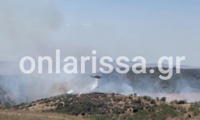 Υπό έλεγχο η μεγάλη φωτιά στην Αγία Τριάδα στα Φάρσαλα