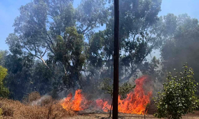 Λάρισα: Φωτιά τώρα στην Αγιά