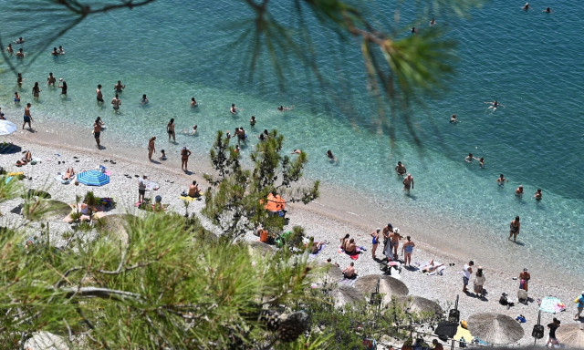 Ηλεκτρονικές δημοπρασίες: Σχεδόν το 90% των παραχωρήσεων προχωρά κανονικά