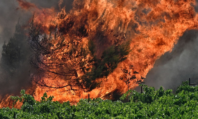«Κόλαση» φωτιάς στο Σοφικό Κορινθίας: Στο νοσοκομείο τρεις πυροσβέστες - Προς Επίδαυρο το μέτωπο