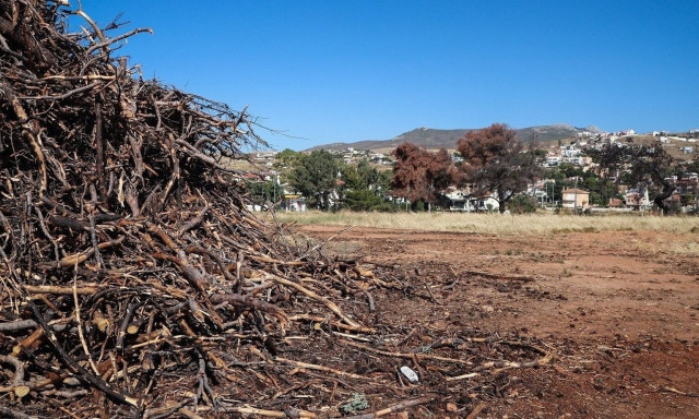 Ακαθάριστα οικόπεδα: Όποιος πρόλαβε και το δήλωσε «καθάρισε» - Τελική διορία
