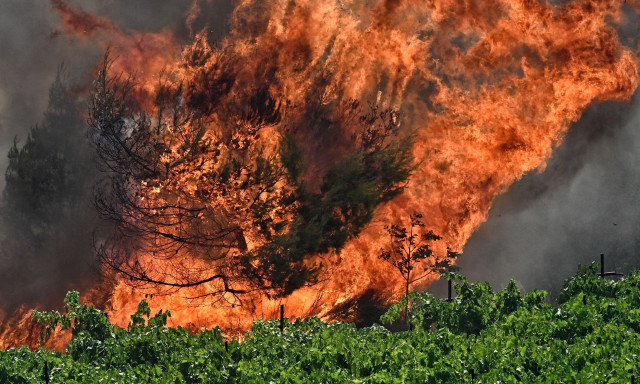 Πολύ υψηλός κίνδυνος φωτιάς το Σάββατο (13/7) - Δείτε αναλυτικά τον χάρτη