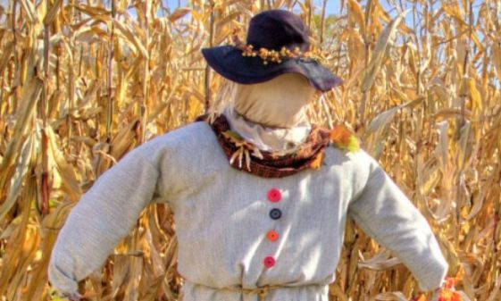 Θεσσαλονίκη: 40χρονος έφτιαχνε... «αχυρανθρώπους» και ζημίωσε το Δημόσιο 1,4 εκατ. ευρώ