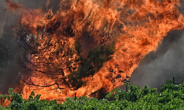 Φωτιά στο Αγρίνιο
