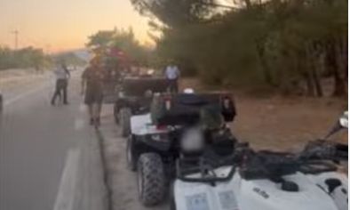 Ζάκυνθος: Έκαναν ελέγχους σε γουρούνες οι αστυνομικοί - Βίντεο ντοκουμέντο