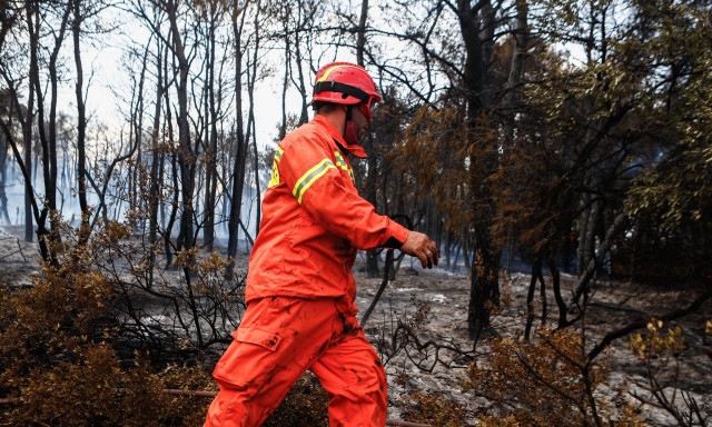 Μεγάλη φωτιά στη Βοιωτία: Ενισχύονται οι πυροσβεστικές δυνάμεις - Στη μάχη εναέρια μέσα