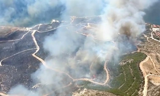 Σμύρνη: Τρεις νεκροί από δασική πυρκαγιά