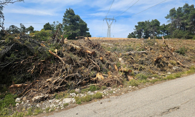 Ακαθάριστα οικόπεδα: Τέλος χρόνου - Όποιος πρόλαβε… τα «καθάρισε» - Εκπνέει σήμερα η διορία