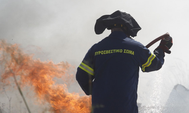 Φωτιά στο Δήλεσι