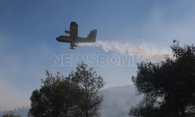 Φωτιά στην Κορινθία: Βελτιωμένη η εικόνα στο μέτωπο - Ισχυροί άνεμοι δυσκολεύουν την Πυροσβεστική