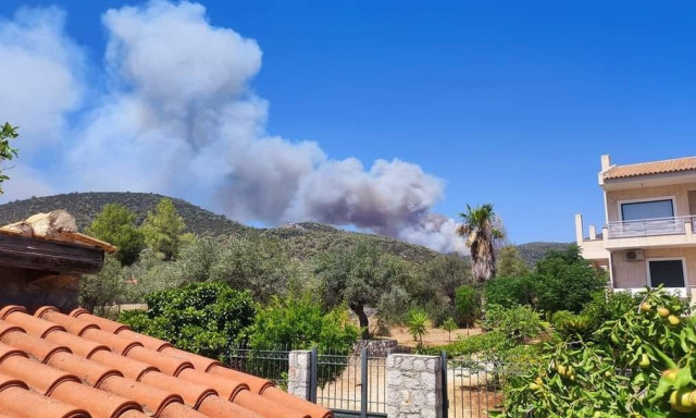 Φωτιά στο Σοφικό Κορινθίας – Βαθρακογιάννης: Πάρα πολύ δύσκολη πυρκαγιά με αρκετές εστίες