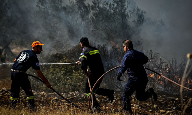 Λάρισα: Στο πόδι η Πυροσβεστική για φωτιά στην περιοχή της Ελασσόνας
