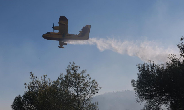 Fire in Sofiko has no active front, Fire Brigade says