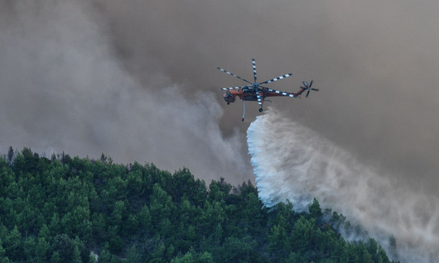 Φωτιά στη Νεμέα