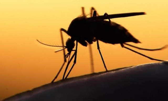 Η φλούδα της μπανάνας μπορεί να ανακουφίσει το τσίμπημα του κουνουπιού