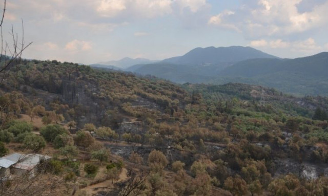 Φωτιά στο Καστράκι Αρκαδίας: Βελτιωμένη εικόνα, αυξήθηκαν σημαντικά οι πυροσβεστικές δυνάμεις
