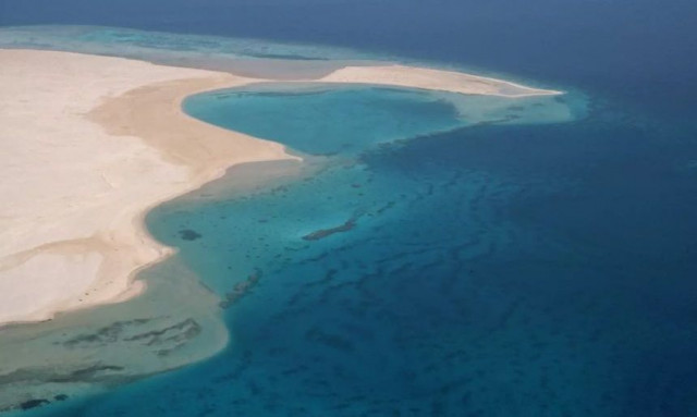 Οι επιστήμονες κατάφεραν να φτάσουν στον πάτο της Ερυθράς Θάλασσας - Ανακάλυψαν κάτι ανατριχιαστικό