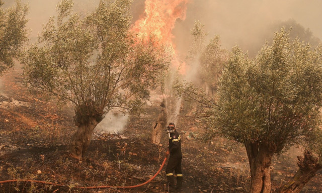 Φωτιά στα Χανιά: Ήχησε ξανά το 112 - Εκκενώνονται οι οικισμοί Μάζα και Παππαδιανά