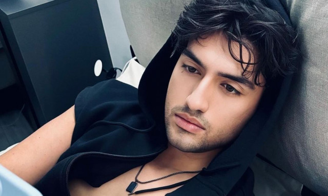 Δημήτρης Σχοινάς: Κάνει κουνγκ φου στο Tik Tok και γίνεται viral