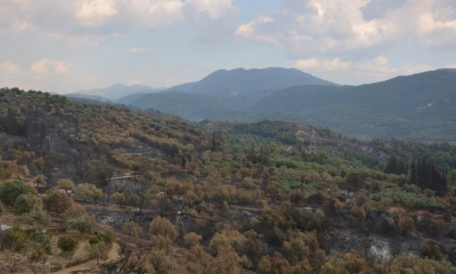 Φθιώτιδα: Φωτιά στην περιοχή Καινούργιο