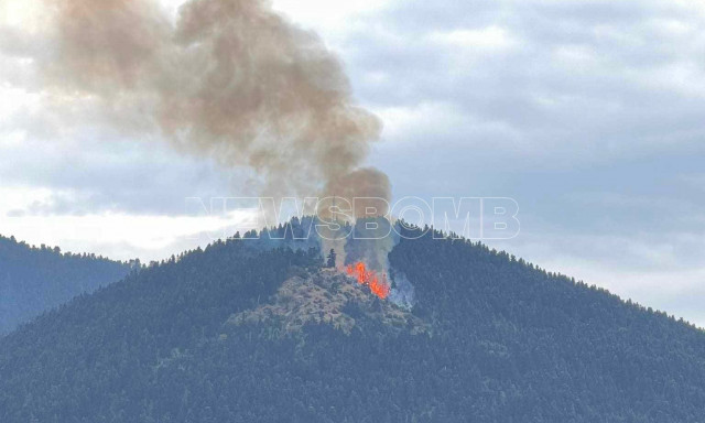 Επικίνδυνη φωτιά σε ελατοδάσος της Ευρυτανίας - «Πιάστηκε» εγκαίρως από την Πυροσβεστική