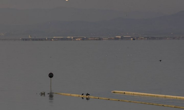 ΕΛΓΑ: Πληρώνει αύριο ζημιές στη φυτική παραγωγή – μελισσοτροφία για «Daniel» και «Elias»