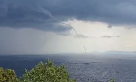 Σπάνιος υδροσιφώνας ανοιχτά της Σκοπέλου - Δείτε το βίντεο