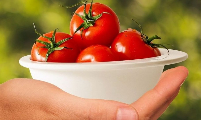 Αυτός είναι ο λόγος που πρέπει κάθε μέρα να τρώμε ντομάτες