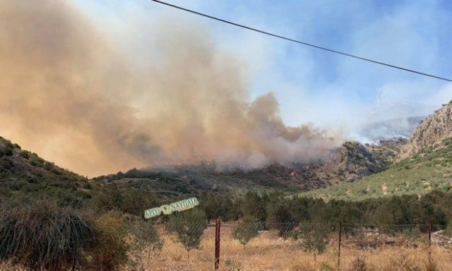 Αργολίδα: Συναγερμός για φωτιά στην Αλέα