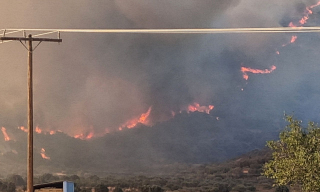 Wildfire in Petries, Evia: Road closures and 4 emergency messages issued via 112