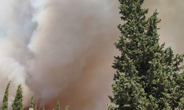 Παίρνει διαστάσεις η φωτιά στην Κύμη - Ενισχύονται οι δυνάμεις, εκκενώνονται οικισμοί