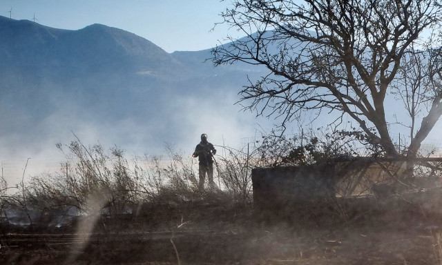 Φωτιά στην Εύβοια: Καίει ανεξέλεγκτα το μέτωπο στις Πετριές – Μάχη από τα εναέρια μέσα πριν νυχτώσει