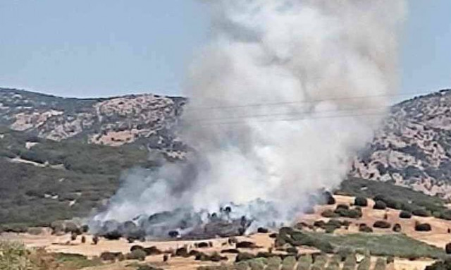 Φωτιά στην Ελασσόνα - Κινητοποιήθηκαν εναέρια μέσα