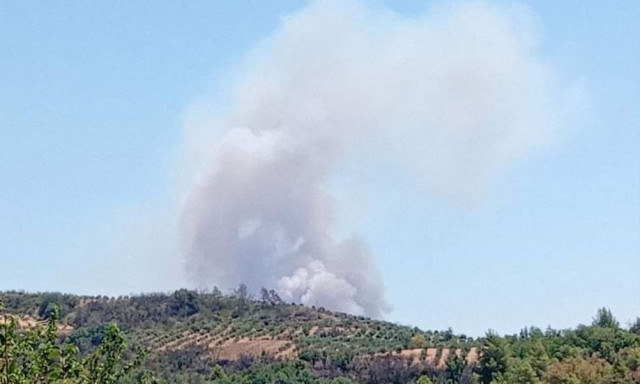 Φωτιά στην Αρκαδία - Σηκώθηκαν εναέρια μέσα, ήχησε το 112