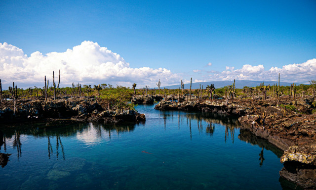 Κινδυνεύουν τα νησιά Γκαλαπάγκος μετά την κατάρρευση της αψίδας του Δαρβίνου